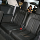 Illustration for article titled 2010 Lincoln MKT: Crossover For The Super-Segmented Masses